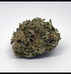 Sour Diesel Cannabis Strain