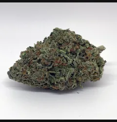 Sour Tangie Cannabis Strain