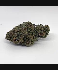 Rose Bud Cannabis Strain